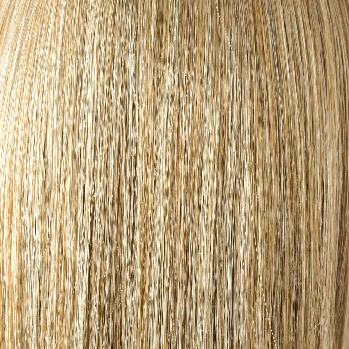 Spring Honey-T  -  A perfect blend of warm honey blond and cool platinum blond. Lighter face line & hair ends complete a dimensional appearance.